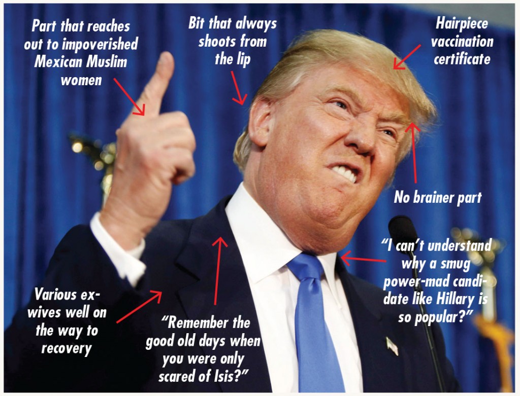 DONALD TRUMP ON TARGET