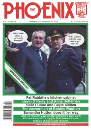 Volume-20-Issue-22-2002