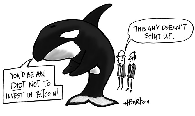 Harry-Burton - Killerwhale bitcoin