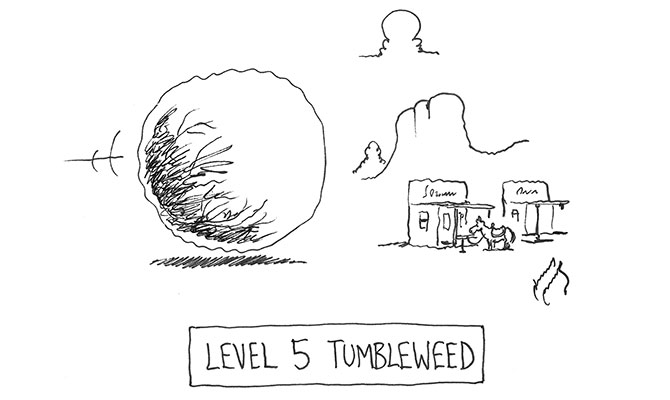Scott - Level 5 tumbleweed