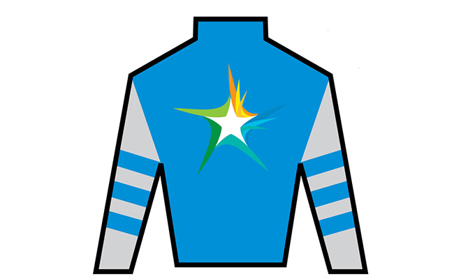 Blue Jersey
