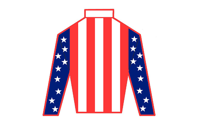 stars stripes jersey