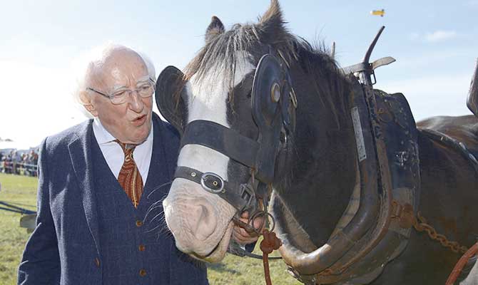 Michael D Higgins