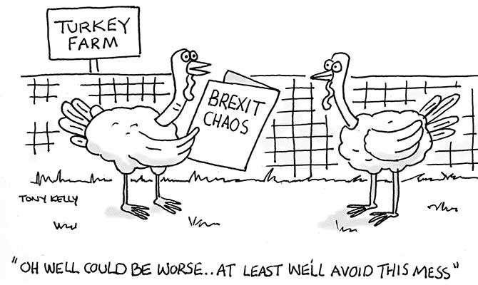 Kelly - Turkey farm