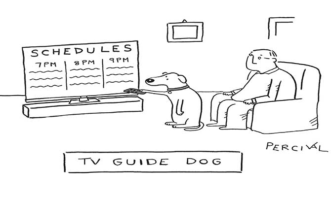 tv-guide-dog