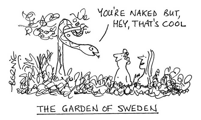 Bernie - garden of sweden