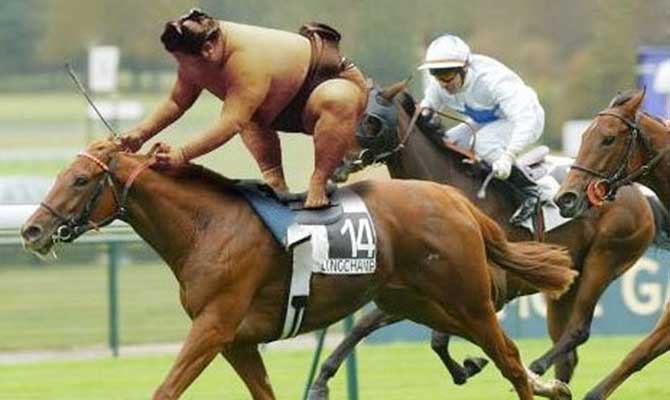 Sumo Jockey