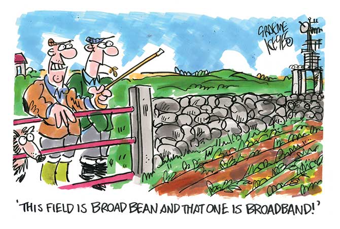 Keyes - Broad-bean - broadband