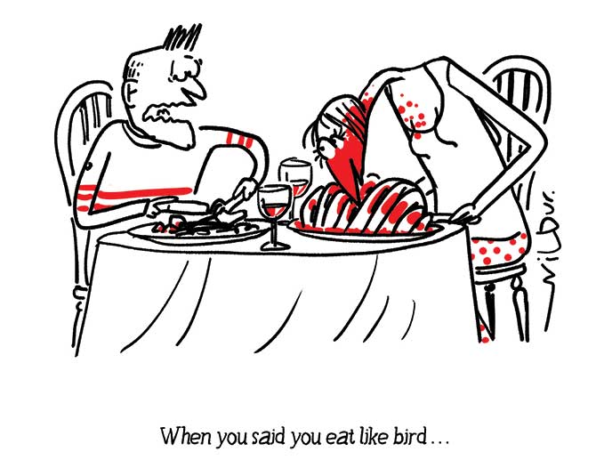 Wilbur - Food bird