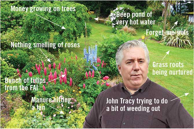 delaney garden