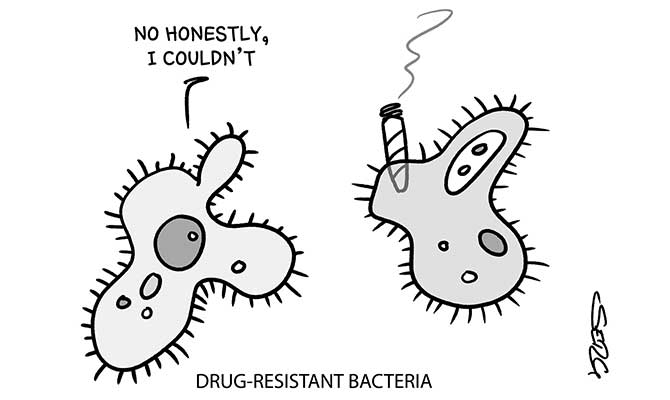 Serg - Bacteria