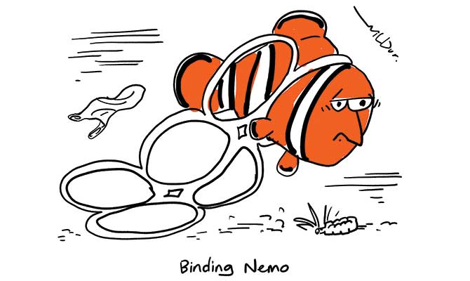 Wilbur - Nemo