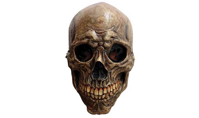 ancient skull