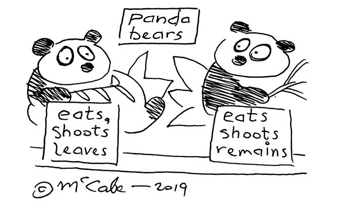 McCabe - Panda bears