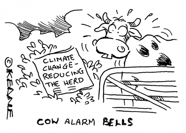 Keane - Cow alarm bells
