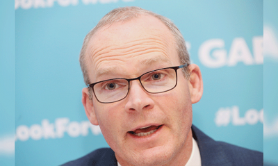 Simon Coveney Cerrejon