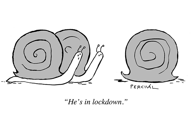 Percival - Lockdown