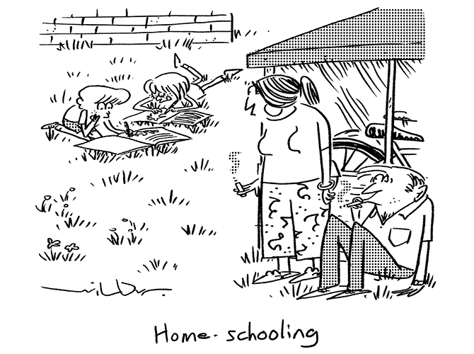 Wilbur - Home schooling