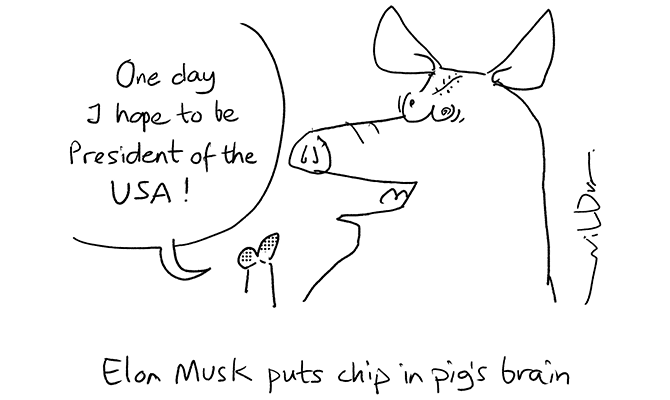 Wilbur - Elon Musk chip