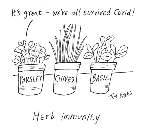 Tim-Bales - Herb immunity