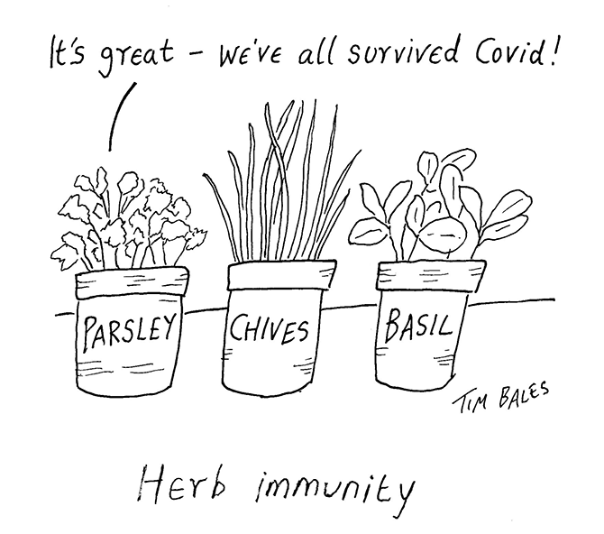Tim-Bales - Herb immunity