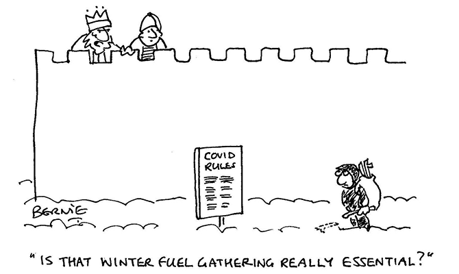 Bernie - Gathering winter-fuel