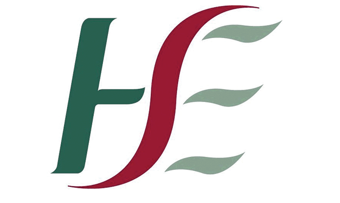 HSE Logo