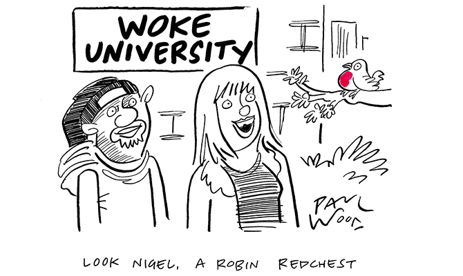 Paul Wood - Woke Uni