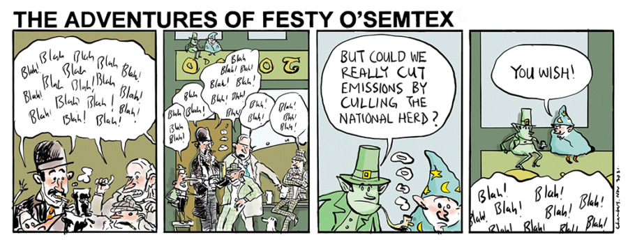 Festy - emissions