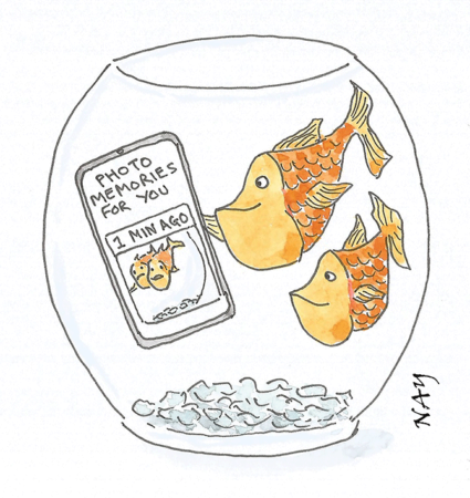 Nay - Goldfish