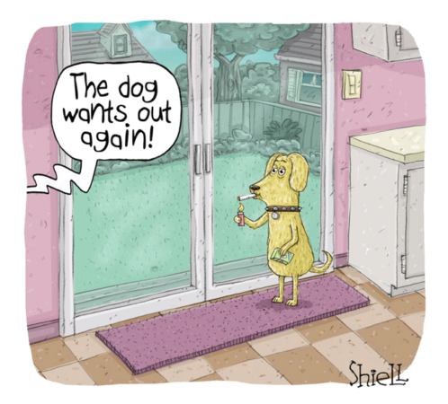 Shiel - the dog wants out