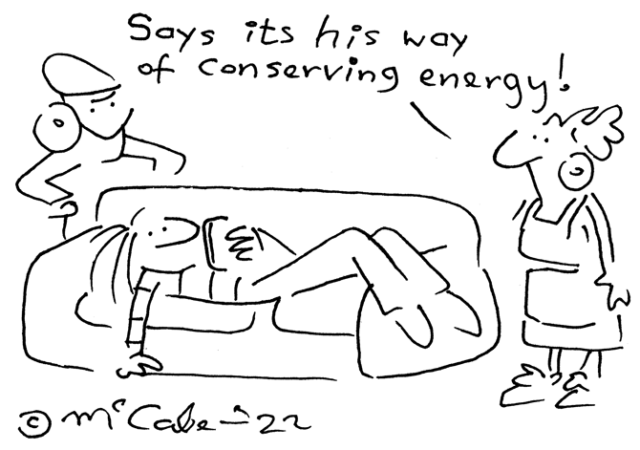 McCabe - conserving energy