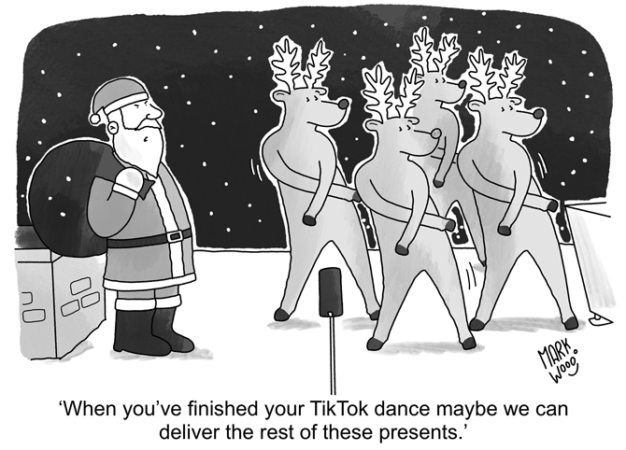 Mark Wood - Reindeer TikTok