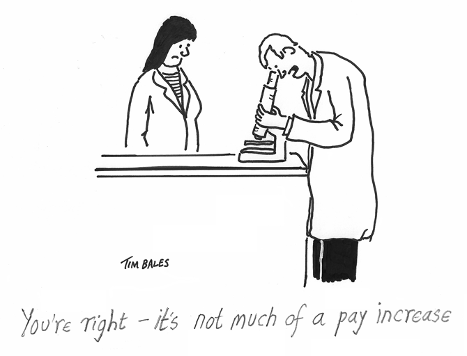 Tim Bales - pay increase