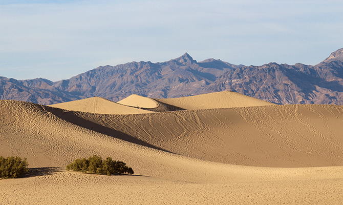 Isolated Desert