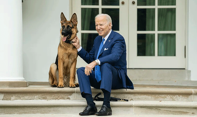 Biden dog