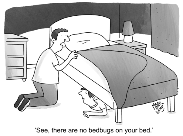 Mark Wood - Bedbugs Nightmare