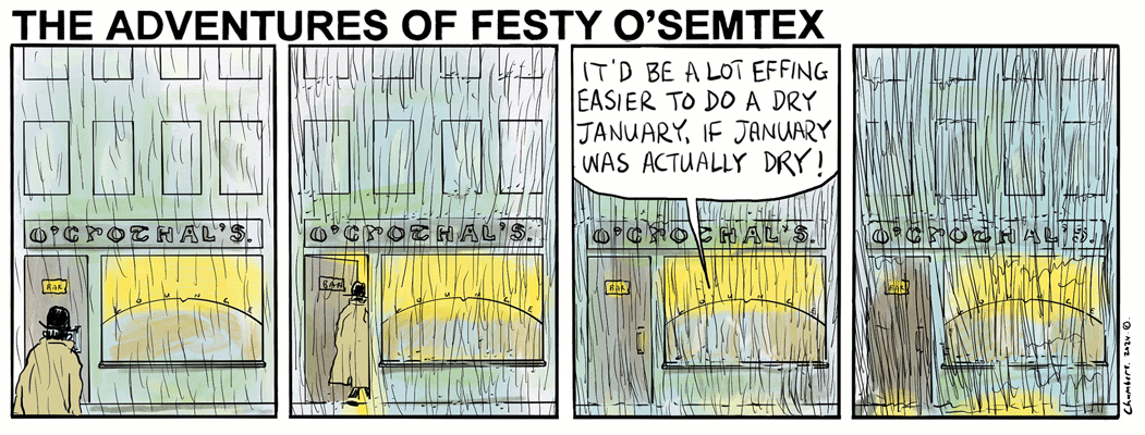 Festy - Dry January