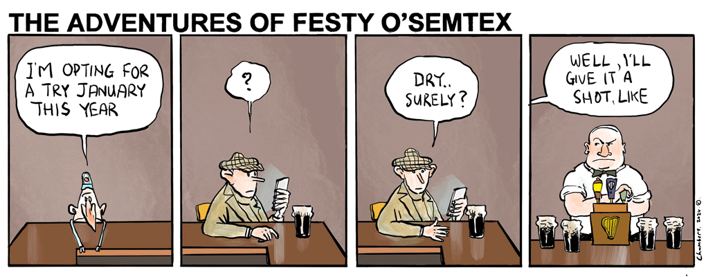 Festy - Try January