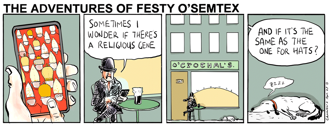 Festy - Hats