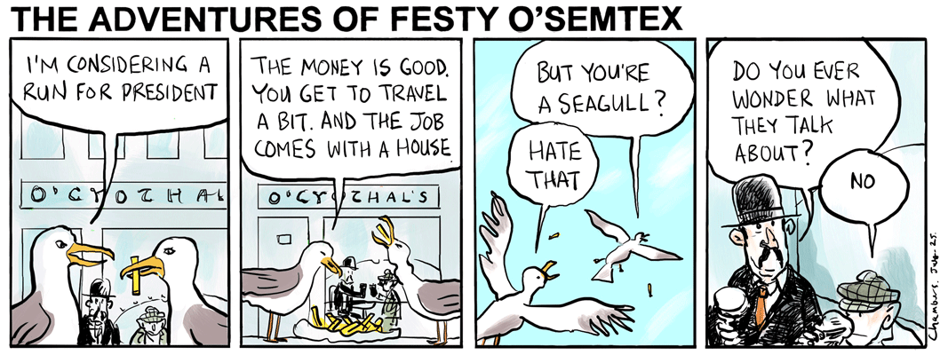 Festy - President