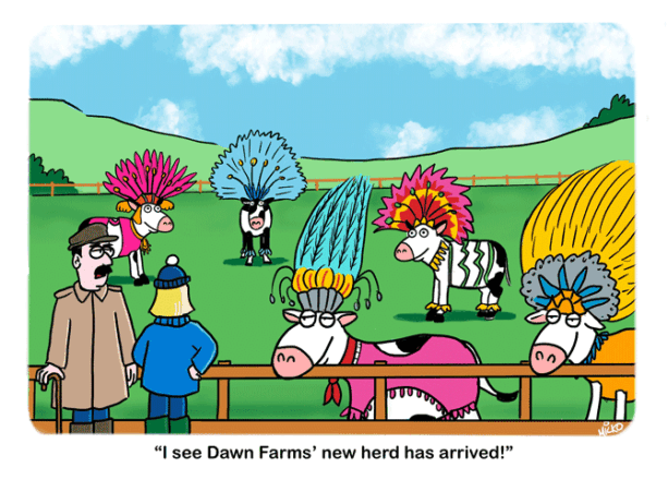 Micko - Brazilian Beef